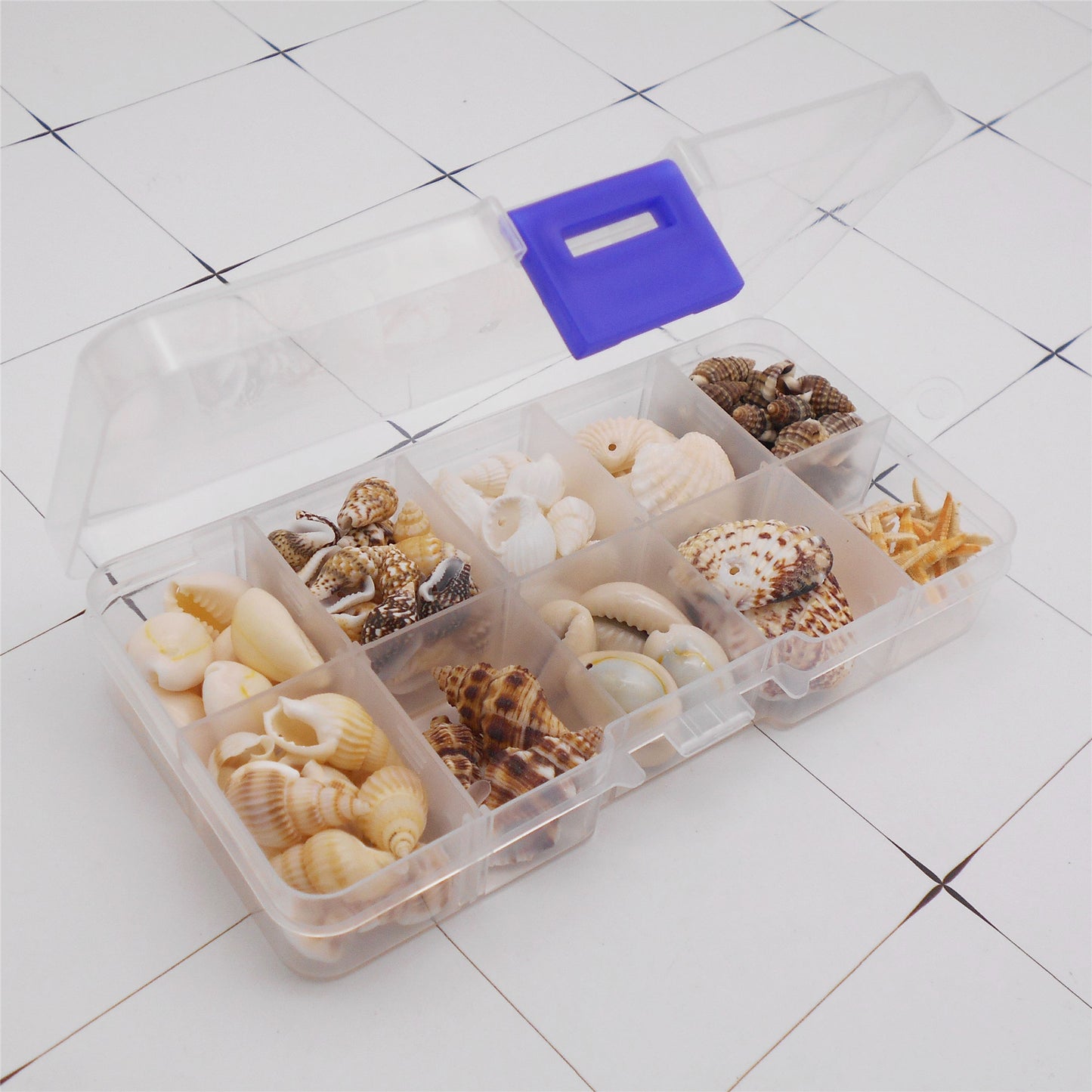 1 Box of Natural Sea Shell with Small Hole Beach Conch Clam Scallop Shell Tiny Starfish for DIY Crafts Supplies, Home Aquarium Decor, Fish Tank Ornament Making