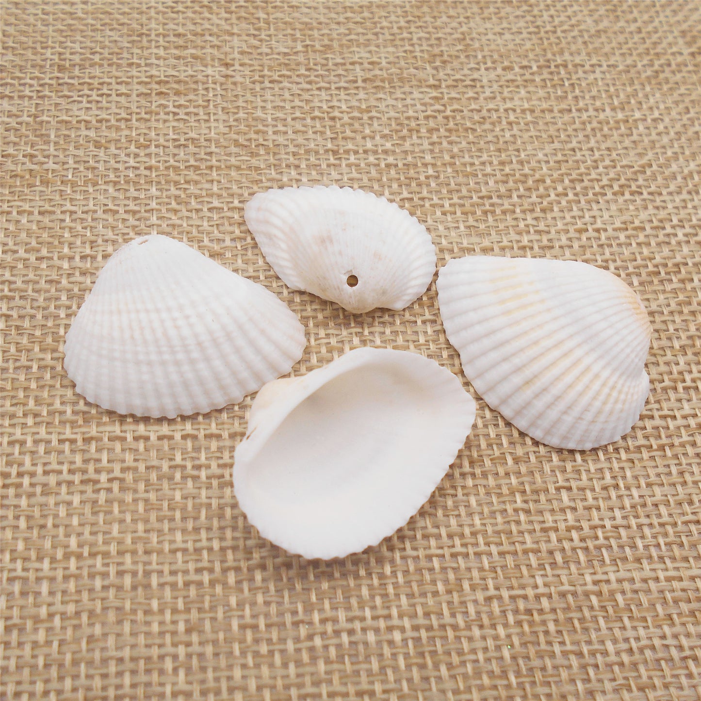10PCS White Beach Shells Natural Cockle Shells Hole-Punched Seashell Pendant Charms for Earrings Necklace Making Accessories, Beach Wedding Decoration, Art Crafts Decor 20-40mm