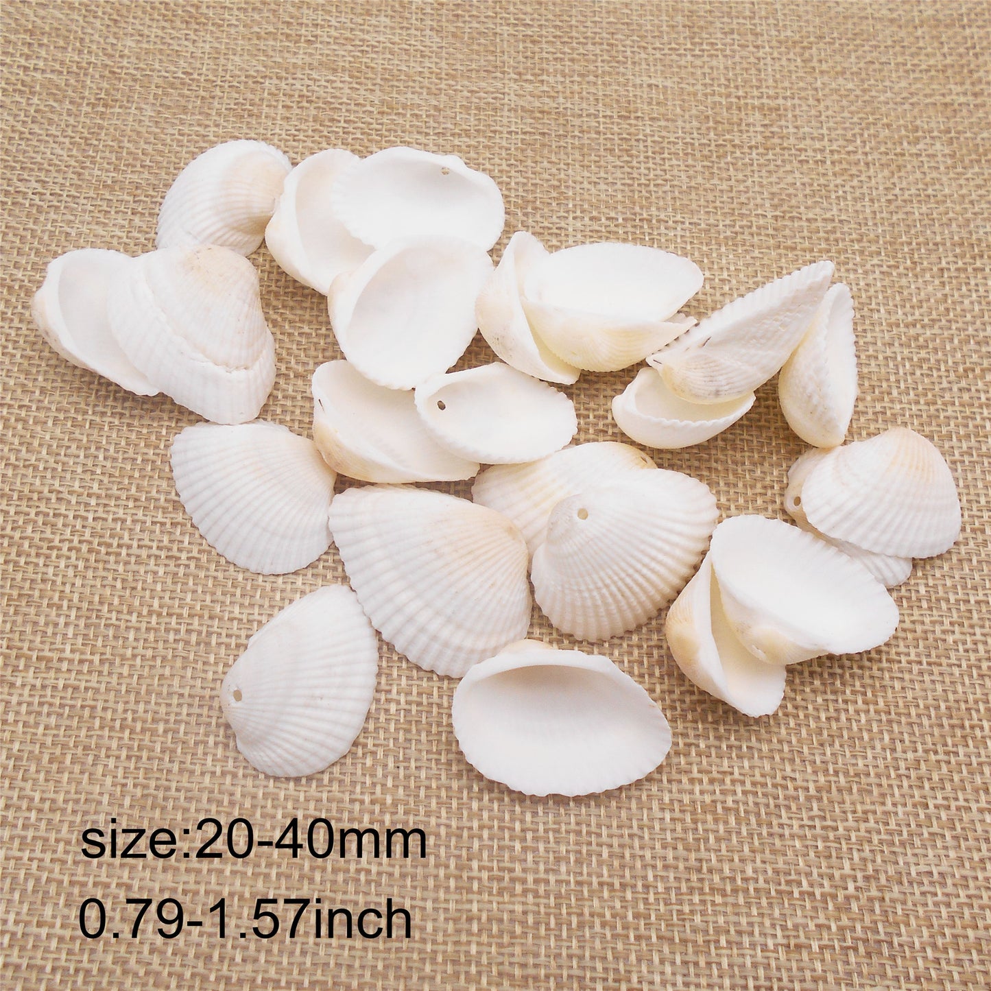 10PCS White Beach Shells Natural Cockle Shells Hole-Punched Seashell Pendant Charms for Earrings Necklace Making Accessories, Beach Wedding Decoration, Art Crafts Decor 20-40mm
