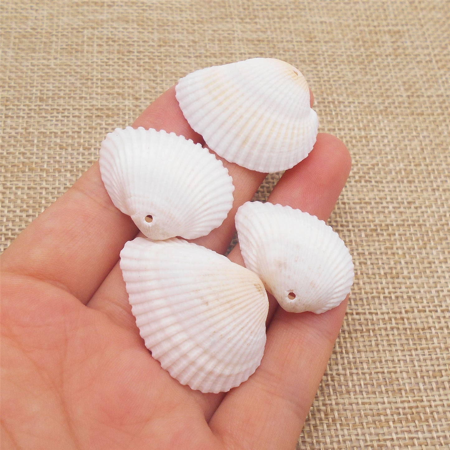 10PCS White Beach Shells Natural Cockle Shells Hole-Punched Seashell Pendant Charms for Earrings Necklace Making Accessories, Beach Wedding Decoration, Art Crafts Decor 20-40mm