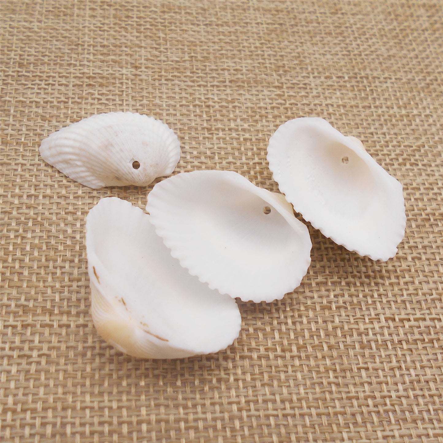 10PCS White Beach Shells Natural Cockle Shells Hole-Punched Seashell Pendant Charms for Earrings Necklace Making Accessories, Beach Wedding Decoration, Art Crafts Decor 20-40mm
