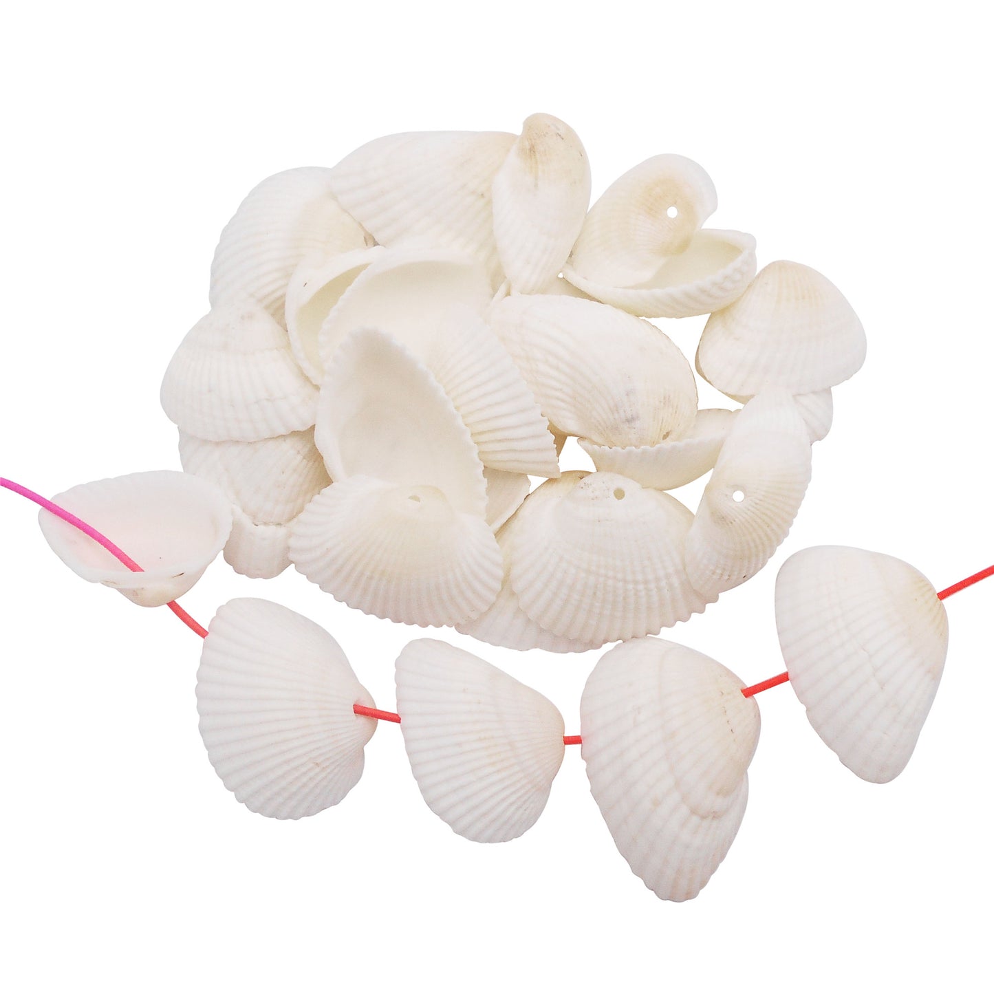 10PCS White Beach Shells Natural Cockle Shells Hole-Punched Seashell Pendant Charms for Earrings Necklace Making Accessories, Beach Wedding Decoration, Art Crafts Decor 20-40mm