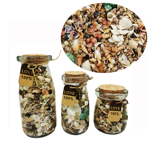 Glass Wide Mouth Wishing Bottle Jar with Conch & Scallop & Clam & Cockle Shells, Sealed with Cork and Fitted with String, Creative Gift for Friends, Ocean Theme Party & Beach Wedding Decoration