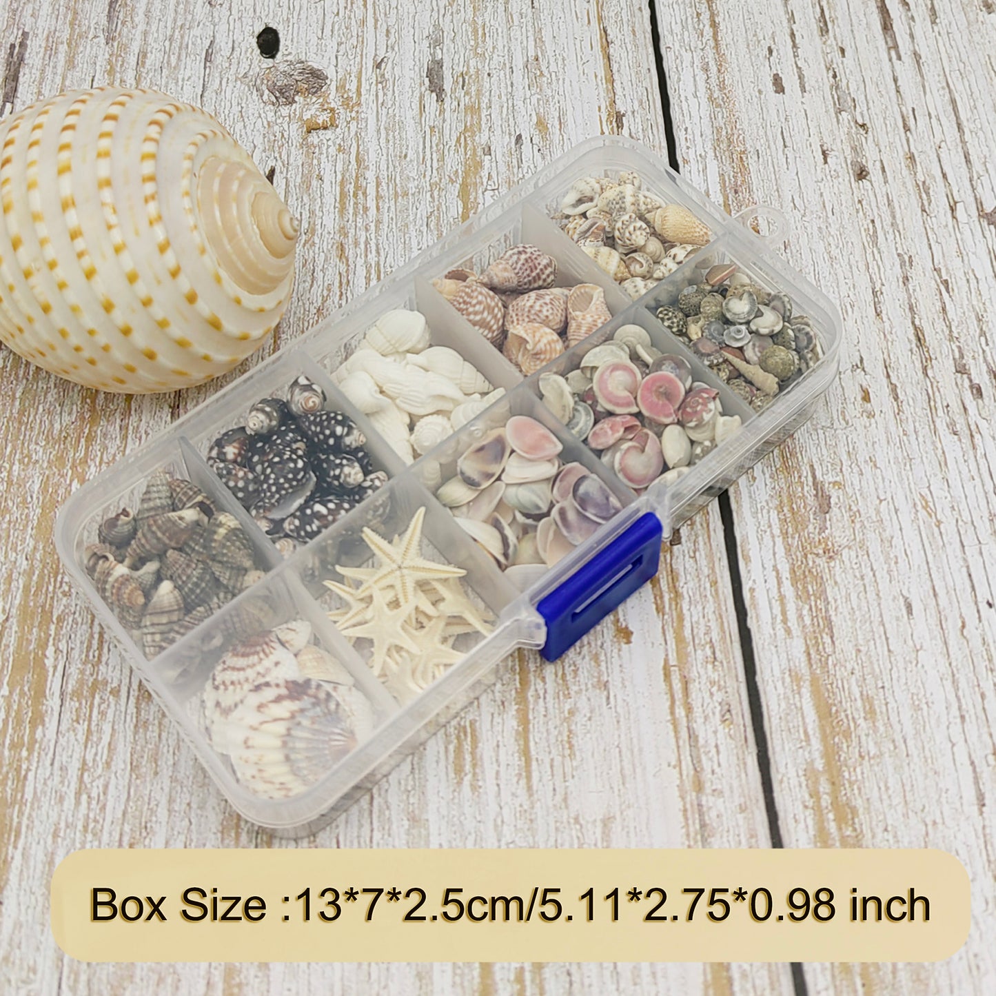 1 Box 230 PCS Natural Starfish Sea Shells Conch Seashells for Ocean Beach Theme Party Decoration Jewelry Making Candle Crafts DIY Fish Tank Vase Filler Tiny Small