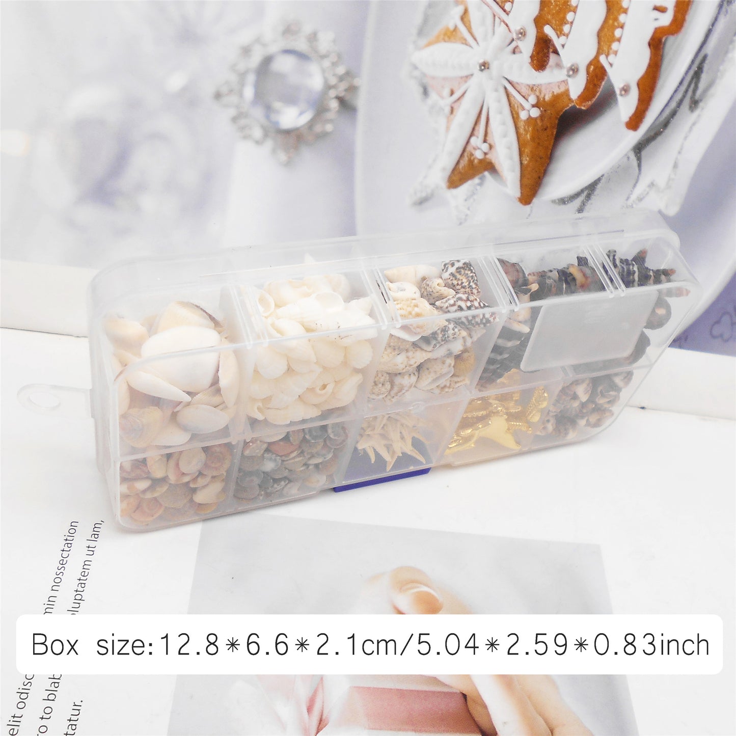 450 PCS Natural Starfish Sea Shells Conch Seashells for Ocean Beach Theme Party Decoration Jewelry Making Candle Crafts DIY Fish Tank Vase Filler