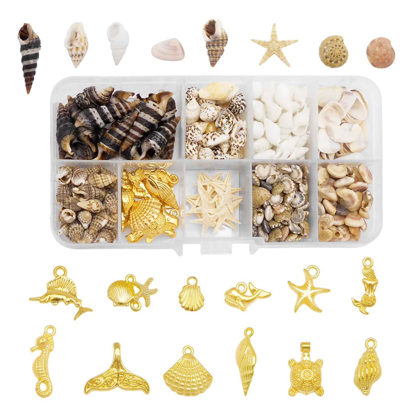 450 PCS Natural Starfish Sea Shells Conch Seashells for Ocean Beach Theme Party Decoration Jewelry Making Candle Crafts DIY Fish Tank Vase Filler