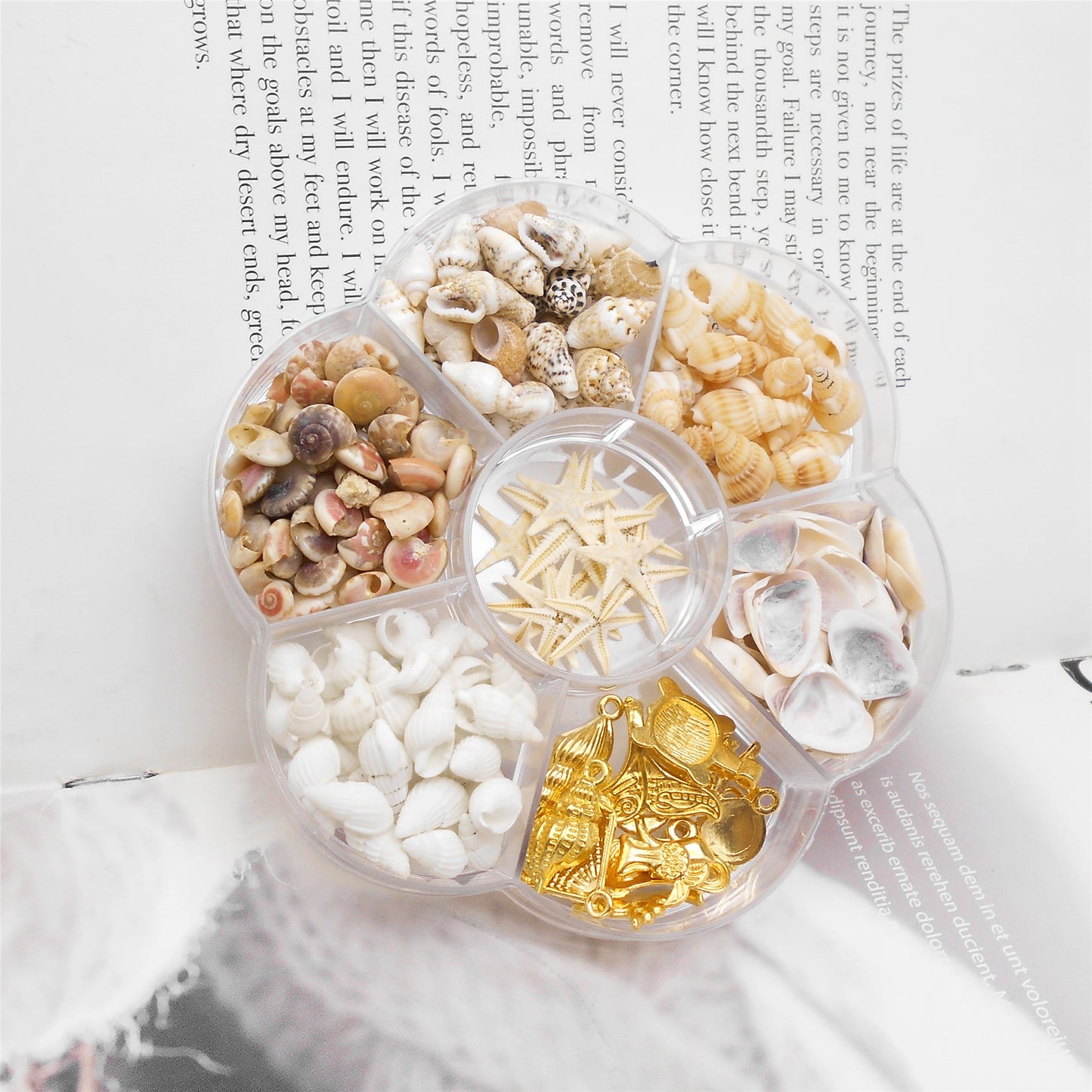 1 Box 180 PCS Natural Starfish Sea Shells Conch Seashells for Ocean Beach Theme Party Decoration Jewelry Making Candle Crafts DIY Fish Tank Vase Filler Tiny Small  Flower Box