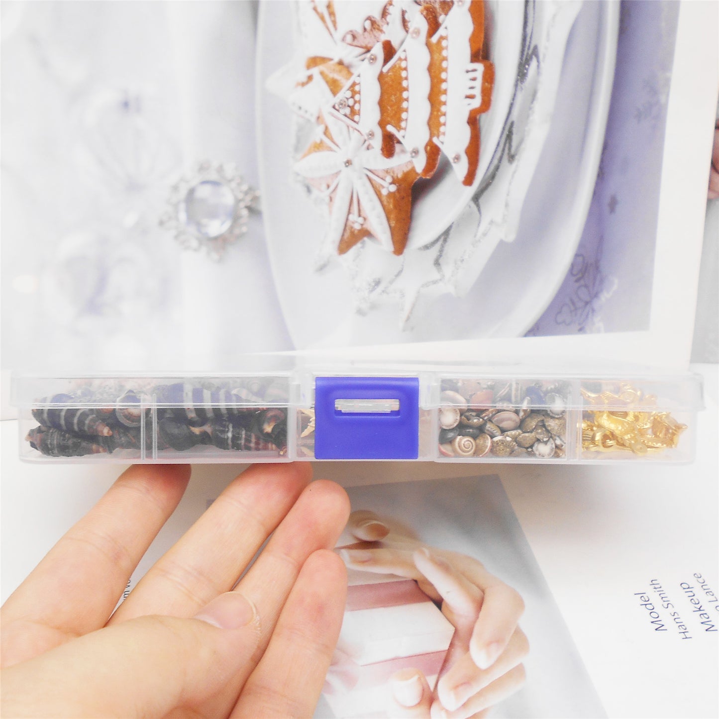 450-500 PCS Natural Starfish Sea Shells Conch Seashells for Ocean Beach Theme Party Decoration Jewelry Making Candle Crafts DIY Fish Tank Vase Filler