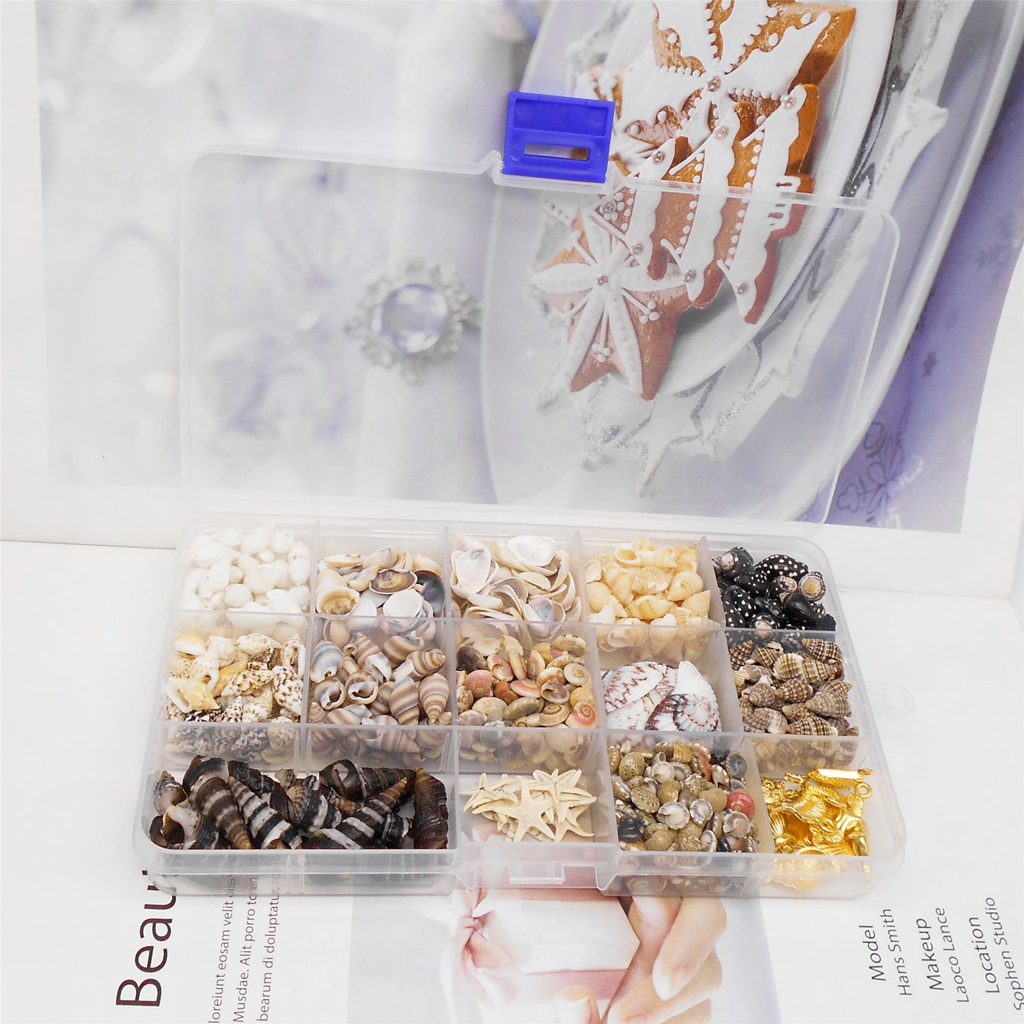 450-500 PCS Natural Starfish Sea Shells Conch Seashells for Ocean Beach Theme Party Decoration Jewelry Making Candle Crafts DIY Fish Tank Vase Filler