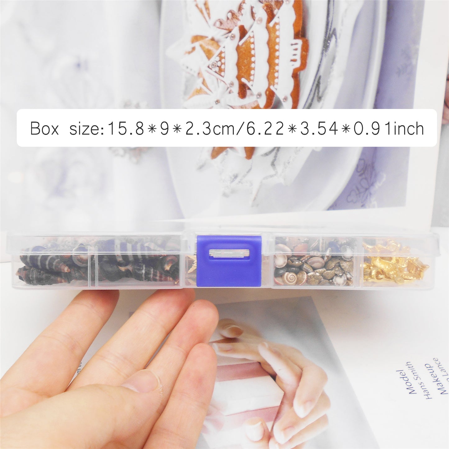 450-500 PCS Natural Starfish Sea Shells Conch Seashells for Ocean Beach Theme Party Decoration Jewelry Making Candle Crafts DIY Fish Tank Vase Filler