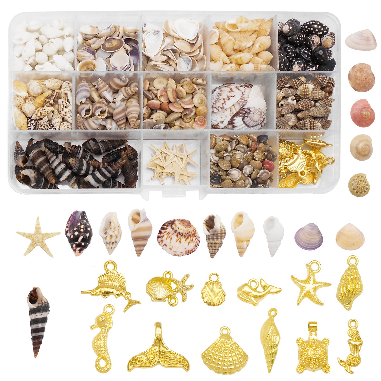 450-500 PCS Natural Starfish Sea Shells Conch Seashells for Ocean Beach Theme Party Decoration Jewelry Making Candle Crafts DIY Fish Tank Vase Filler