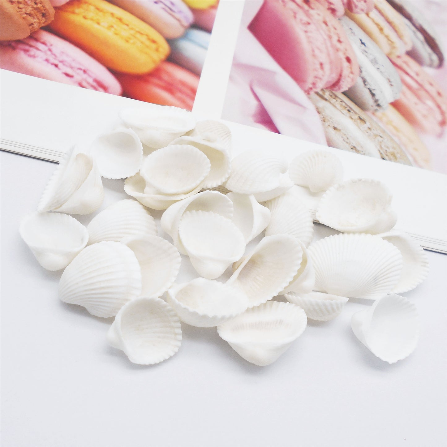 20pcs White Seashells Clam Shells Natural Scallop Cockle Conch Shells for Beach Wedding Decoration Fish Tank Aquariums Decor Art Crafts 1-3cm