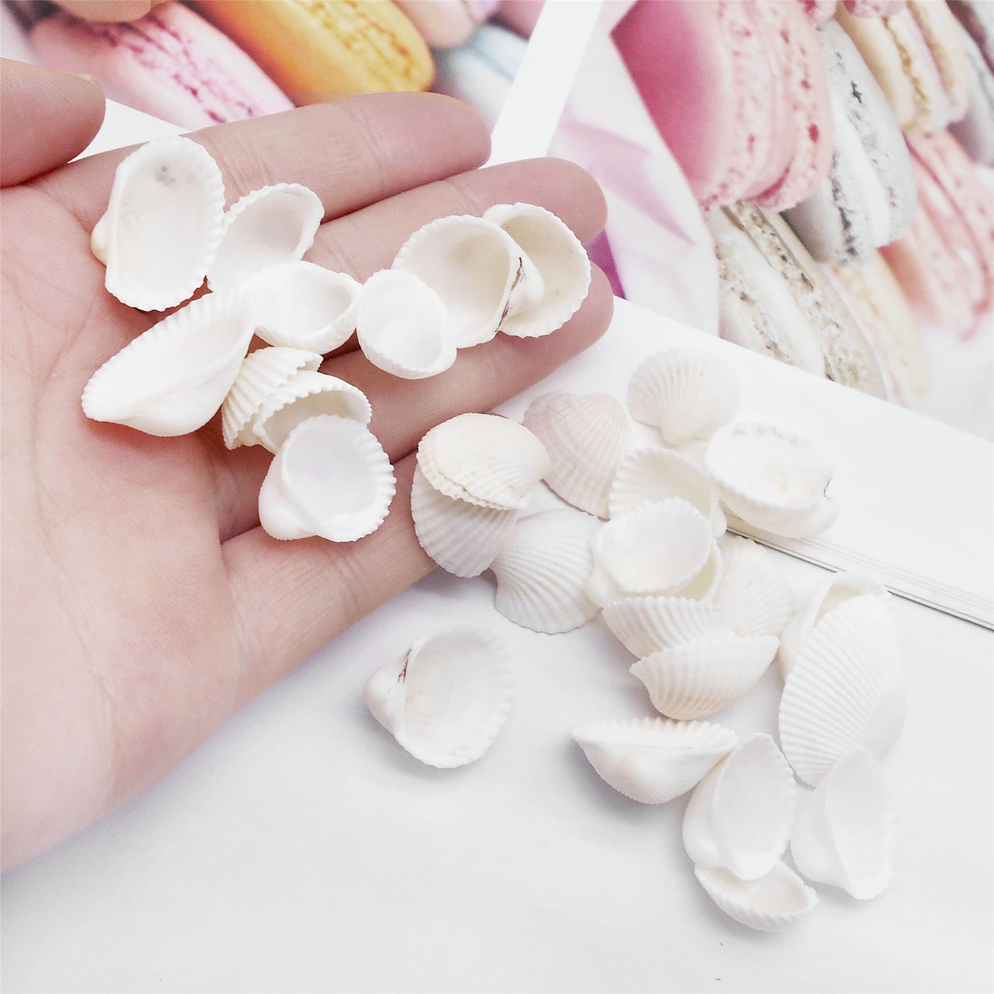 20pcs White Seashells Clam Shells Natural Scallop Cockle Conch Shells for Beach Wedding Decoration Fish Tank Aquariums Decor Art Crafts 1-3cm