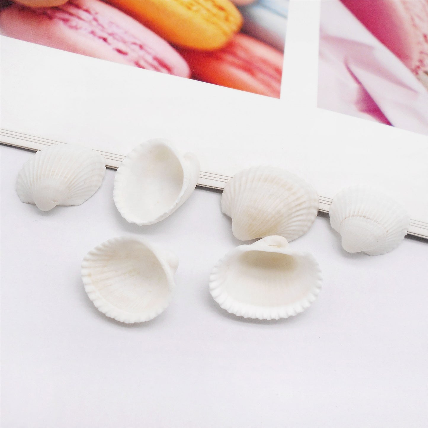 20pcs White Seashells Clam Shells Natural Scallop Cockle Conch Shells for Beach Wedding Decoration Fish Tank Aquariums Decor Art Crafts 1-3cm