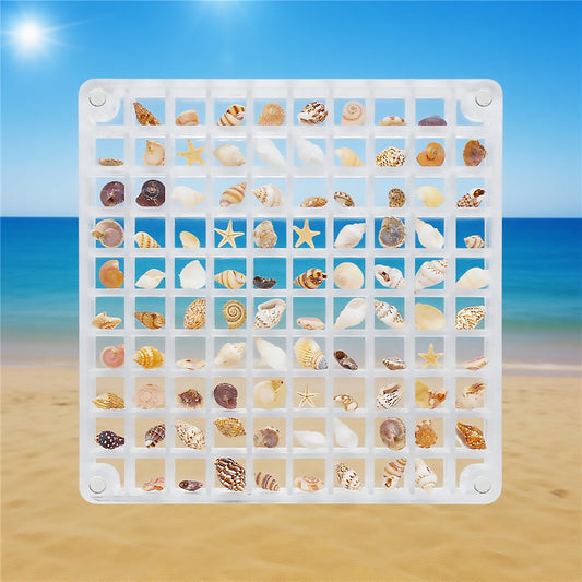 1 Piece Magnetic Acrylic Shell Organizer, Clear Display Case for Seashell Collection - Desk Decoration, Storage Box, Gift for Beach Lovers
