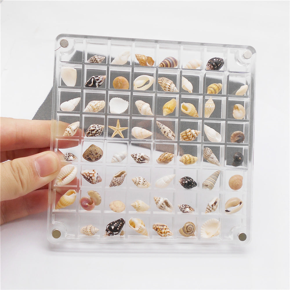 1 Piece Magnetic Acrylic Shell Organizer, Clear Display Case for Seashell Collection - Desk Decoration, Storage Box, Gift for Beach Lovers
